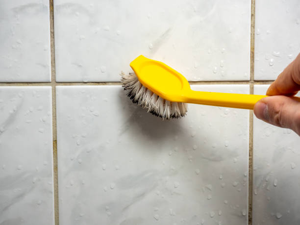 Best Local Mold Removal Service  in Mansura, LA