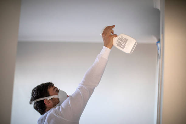 Best Residential Mold Removal  in Mansura, LA