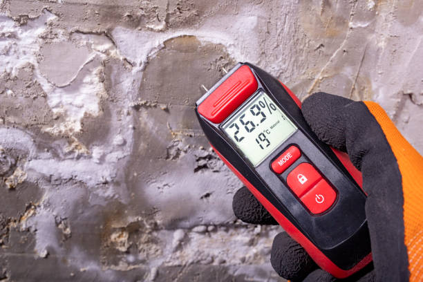 Best Professional Mold Removal  in Mansura, LA