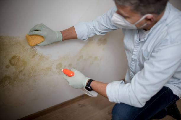 Crawl Space Mold Removal in Mansura, LA